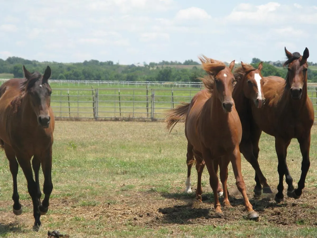 Agriturismo Monsereno Horses Imbersago Bed & Breakfast